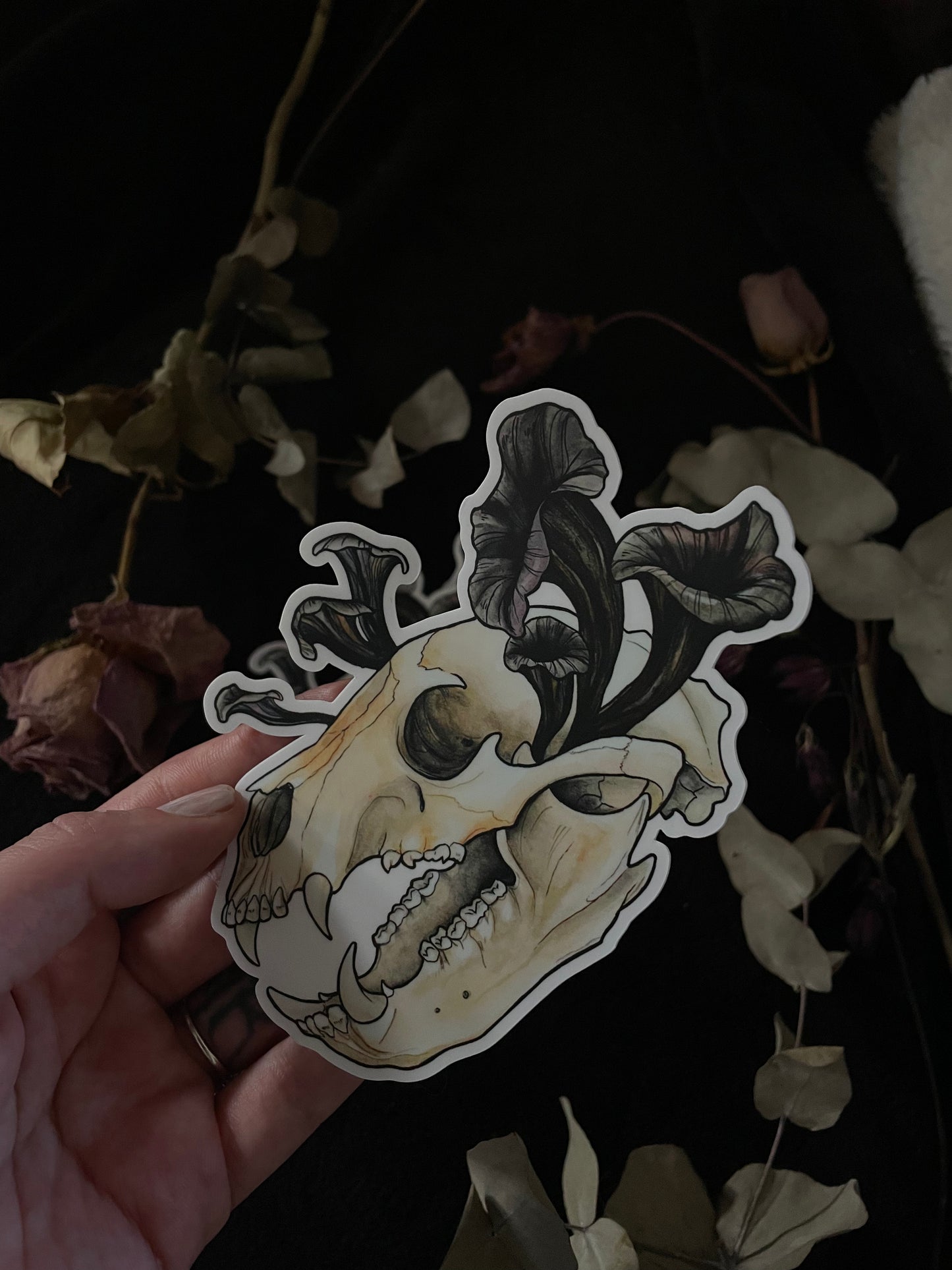 Bear Skull Sticker