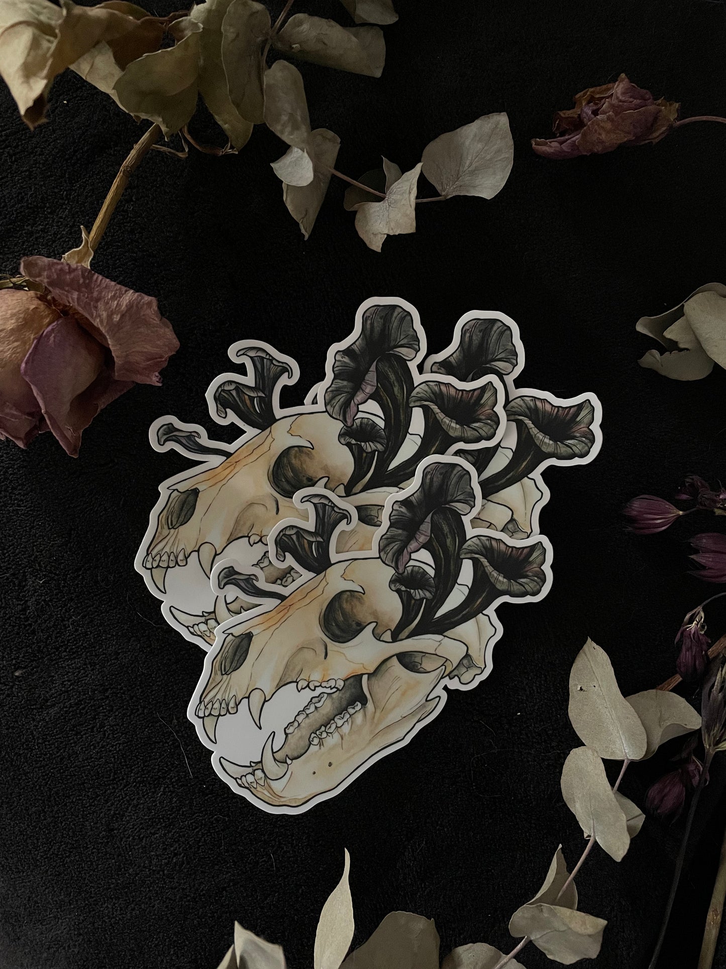 Bear Skull Sticker